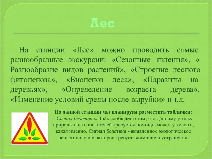 Лес На станции «Лес» можно проводить самые разнообразные экскурсии: «Сезонные