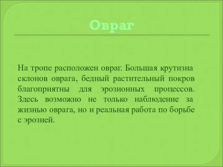 Овраг На тропе расположен овраг. Большая крутизна склонов оврага, бедный