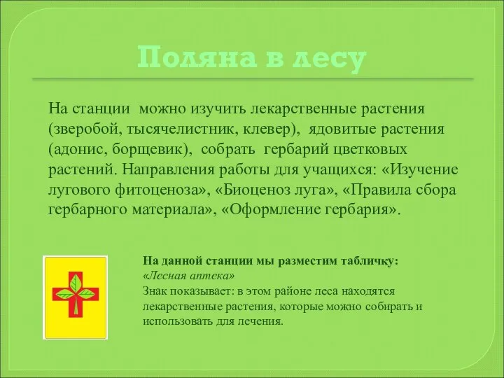 Поляна в лесу На станции можно изучить лекарственные растения (зверобой,