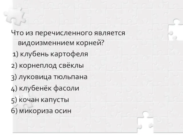 Что из перечисленного является видоизменнием корней? 1) клубень картофеля 2)