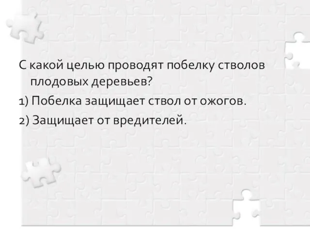 С какой целью проводят побелку стволов плодовых деревьев? 1) Побелка