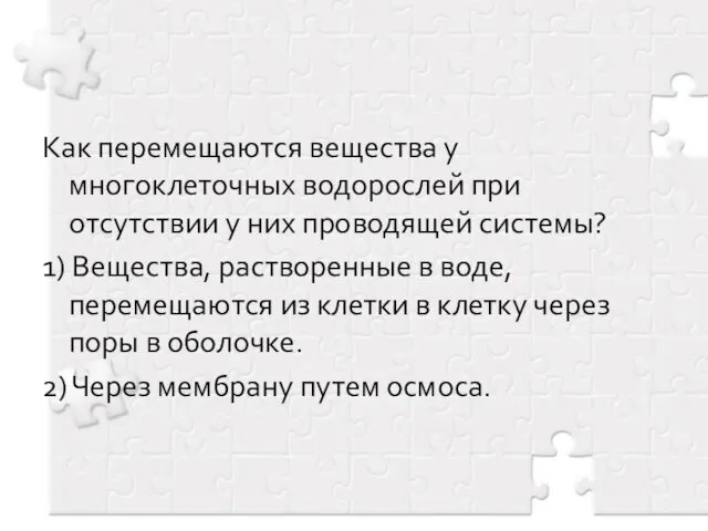 Как перемещаются вещества у многоклеточных водорослей при отсутствии у них