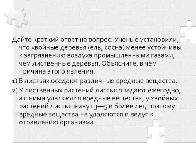 Дайте краткий ответ на вопрос. Учёные установили, что хвойные деревья