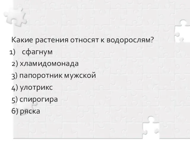 Какие растения относят к водорослям? сфагнум 2) хламидомонада 3) папоротник