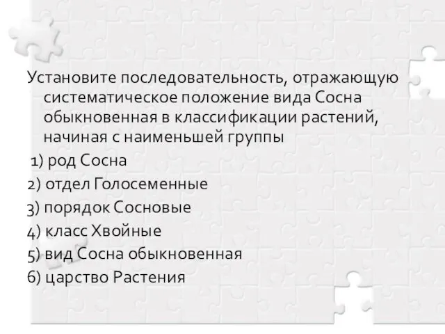 Установите последовательность, отражающую систематическое положение вида Сосна обыкновенная в классификации