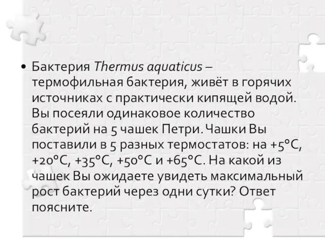 Бактерия Thermus aquaticus – термофильная бактерия, живёт в горячих источниках