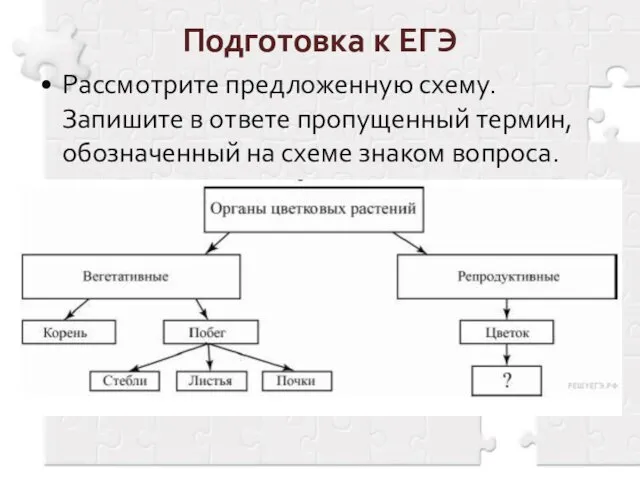 Рассмотрите предложенную схему. Запишите в ответе пропущенный термин, обозначенный на схеме знаком вопроса. Подготовка к ЕГЭ