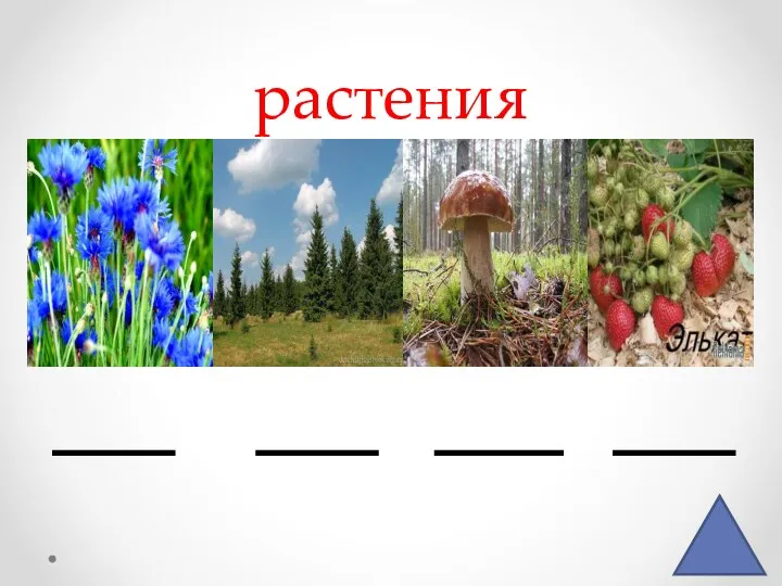 растения