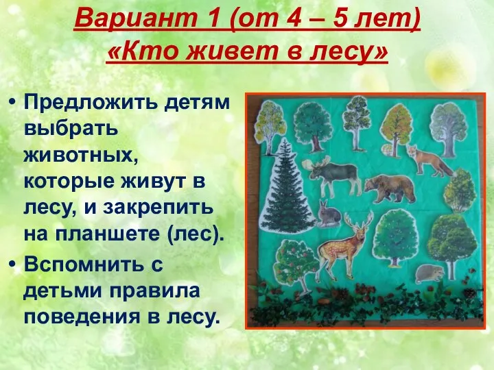 Вариант 1 (от 4 – 5 лет) «Кто живет в лесу» Предложить детям