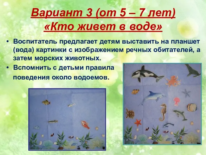 Вариант 3 (от 5 – 7 лет) «Кто живет в