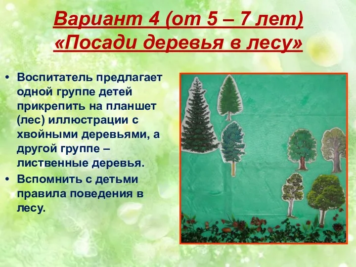 Вариант 4 (от 5 – 7 лет) «Посади деревья в лесу» Воспитатель предлагает