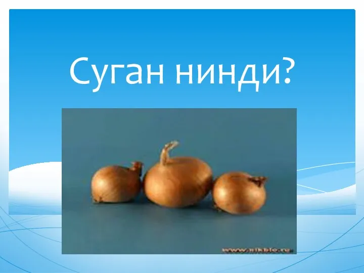 Суган нинди?