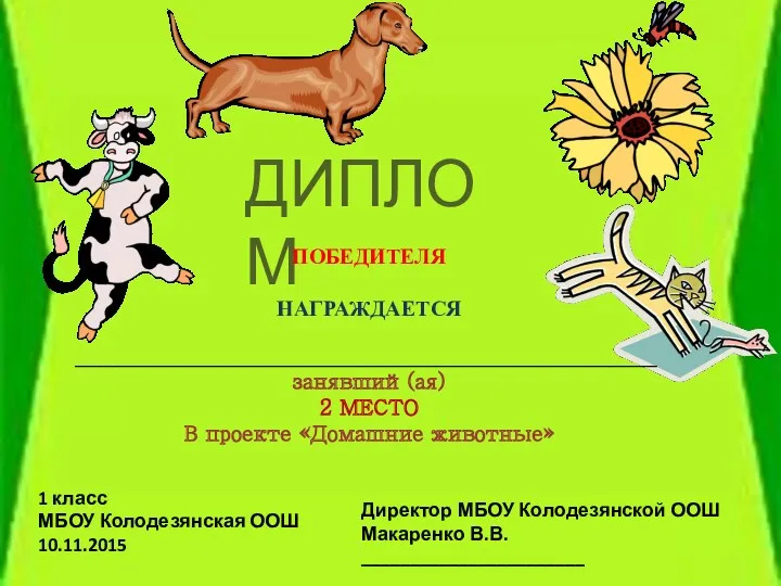 ДИПЛОМ ПОБЕДИТЕЛЯ НАГРАЖДАЕТСЯ ____________________________________________________________ занявший(ая) 2 МЕСТО В проекте «Домашние