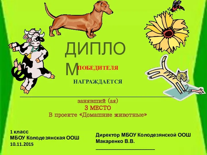 ДИПЛОМ ПОБЕДИТЕЛЯ НАГРАЖДАЕТСЯ ____________________________________________________________ занявший(ая) 3 МЕСТО В проекте «Домашние