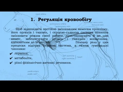 1. Регуляція кровообігу Щоб відповідати постійно змінюваним вимогам організму, його