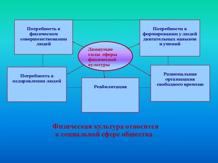 Физическая культура относится к социальной сфере общества