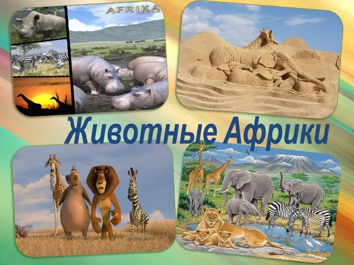 презентация Животные Африки