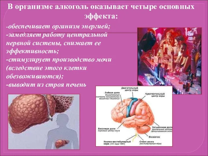 В организме алкоголь оказывает четыре основных эффекта: -обеспечивает организм энергией; -замедляет работу центральной