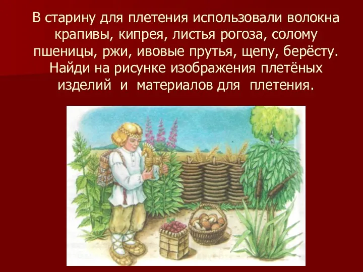 В старину для плетения использовали волокна крапивы, кипрея, листья рогоза,