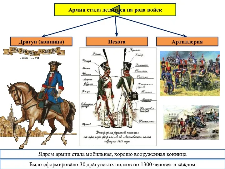 Армия стала делиться на рода войск Драгун (конница) Пехота Артиллерия