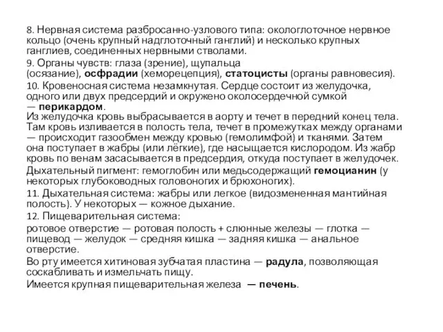 8. Нервная система разбросанно-узлового типа: окологлоточное нервное кольцо (очень крупный