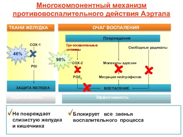 Про-воспалительные цитокины Про-воспалительные цитокины 98% 46% Многокомпонентный механизм противовоспалительного действия