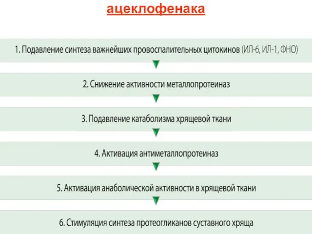 Механизм хондропротективного действия ацеклофенака