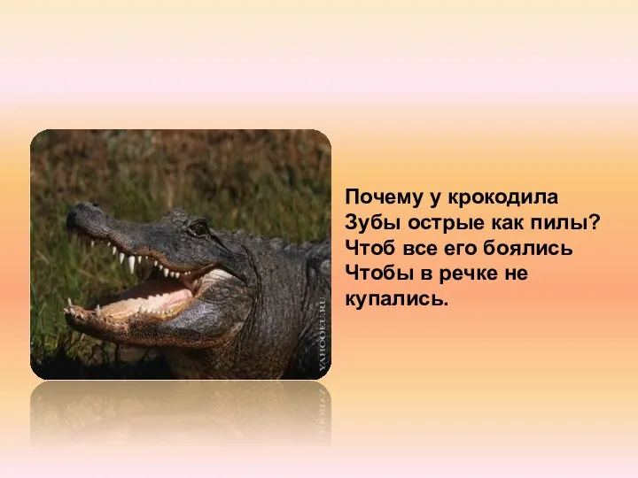 Почему у крокодила Зубы острые как пилы? Чтоб все его боялись Чтобы в речке не купались.