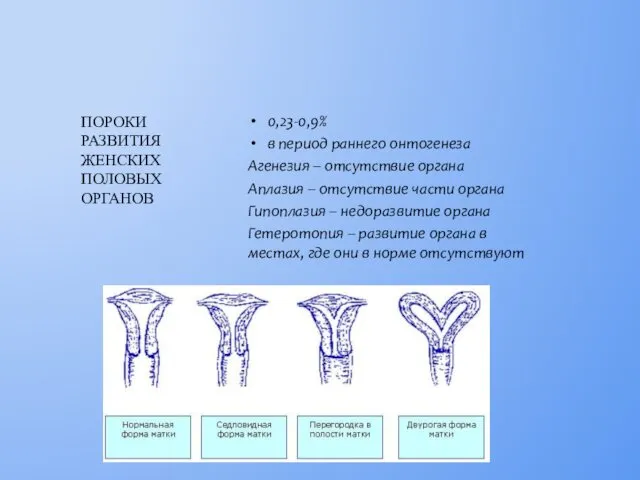 0,23-0,9% в период раннего онтогенеза Агенезия – отсутствие органа Аплазия