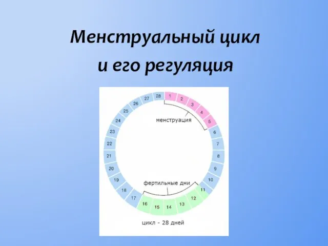 Менструальный цикл и его регуляция