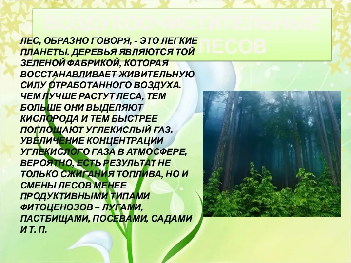 ВОЗДУХООЧИСТИТЕЛЬНЫЕ ФУНКЦИИ ЛЕСОВ ЛЕС, ОБРАЗНО ГОВОРЯ, - ЭТО ЛЕГКИЕ ПЛАНЕТЫ.