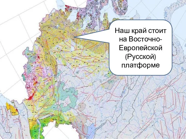 Наш край стоит на Восточно-Европейской (Русской) платформе