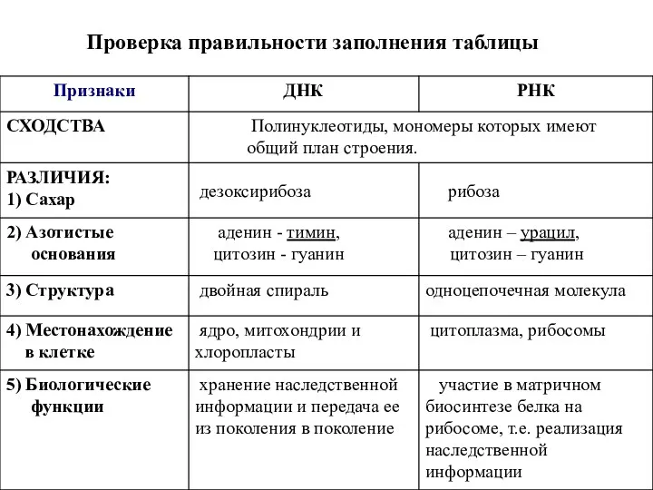 Проверка правильности заполнения таблицы