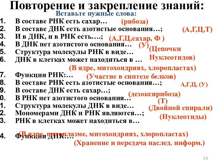 Повторение и закрепление знаний: Вставьте нужные слова: В составе РНК