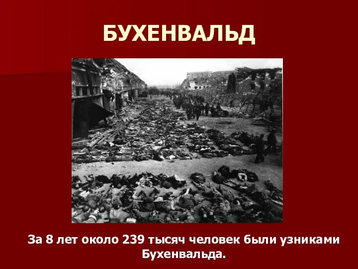 БУХЕНВАЛЬД За 8 лет около 239 тысяч человек были узниками Бухенвальда.