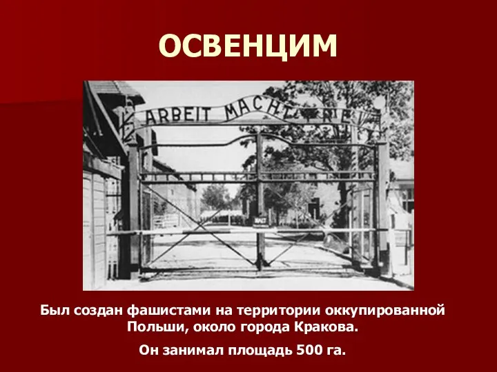 ОСВЕНЦИМ Был создан фашистами на территории оккупированной Польши, около города Кракова. Он занимал площадь 500 га.