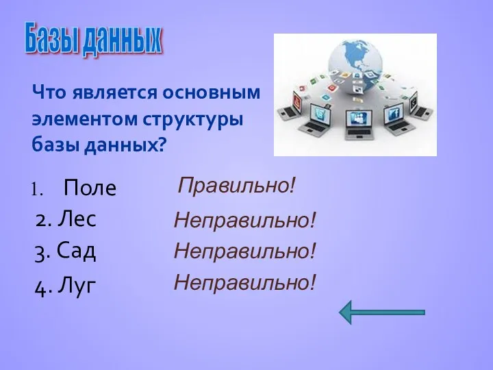 Что является основным элементом структуры базы данных? Поле Базы данных