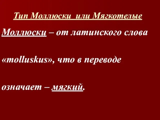 Тип Моллюски или Мягкотелые Моллюски – от латинского слова «molluskus», что в переводе означает – мягкий.