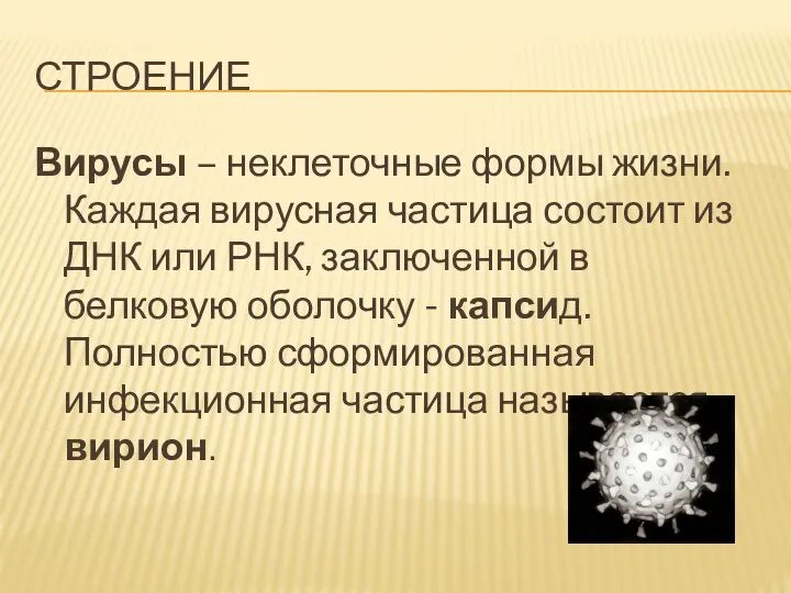 Строение Вирусы – неклеточные формы жизни. Каждая вирусная частица состоит