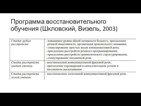 Программа восстановительного обучения (Шкловский, Визель, 2003)