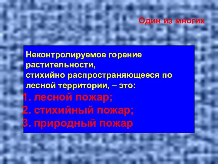 Один из многих Неконтролируемое горение растительности, стихийно распространяющееся по лесной