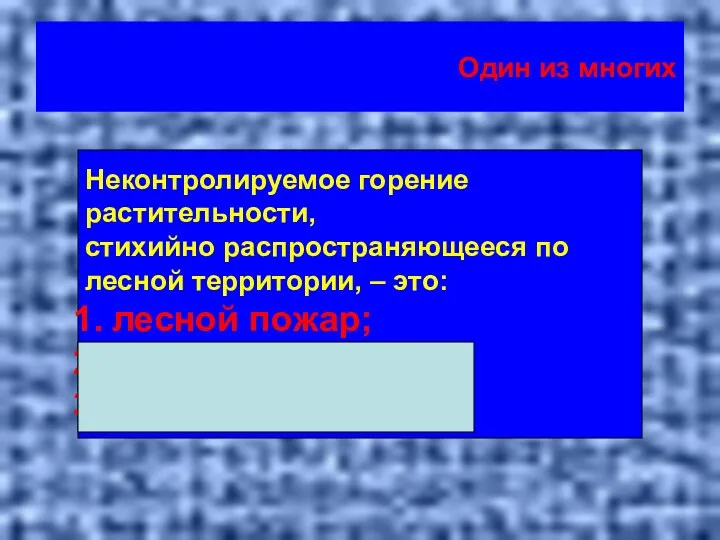 Один из многих Неконтролируемое горение растительности, стихийно распространяющееся по лесной