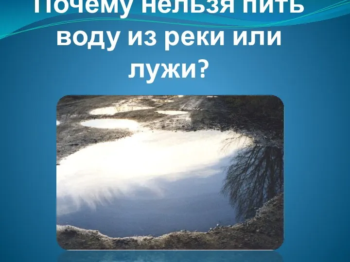 Почему нельзя пить воду из реки или лужи?