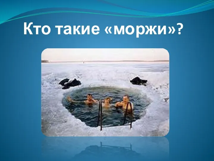 Кто такие «моржи»?