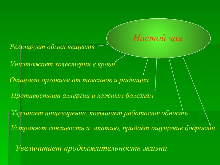 Настой чая Регулирует обмен веществ Уничтожает холестерин в крови Очищает