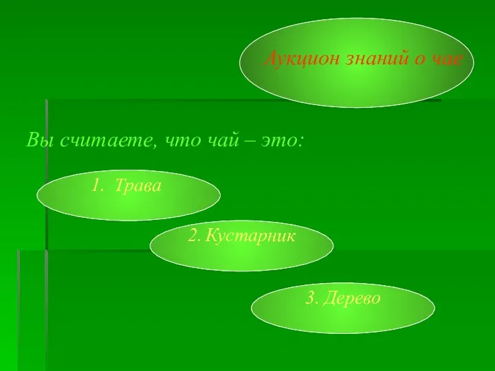 Аукцион знаний о чае Вы считаете, что чай – это: Трава 2. Кустарник 3. Дерево