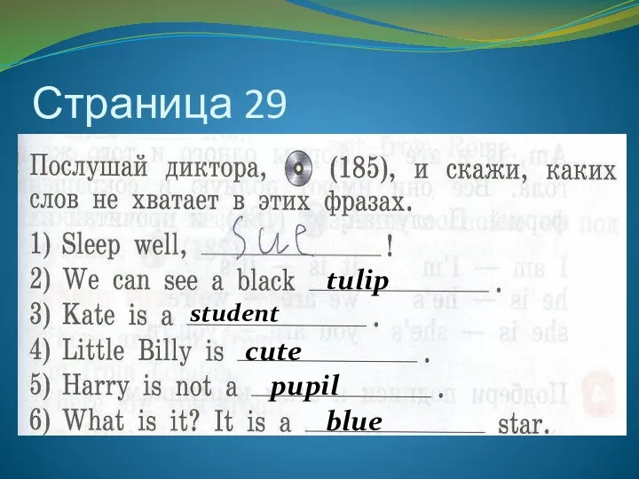 Страница 29 tulip student cute pupil blue