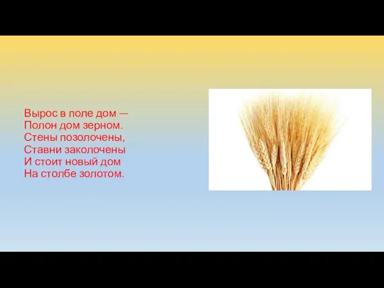 Вырос в поле дом — Полон дом зерном. Стены позолочены,