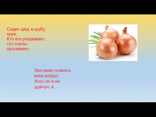 Сидит дед, в шубу одет, Кто его раздевает, тот слезы