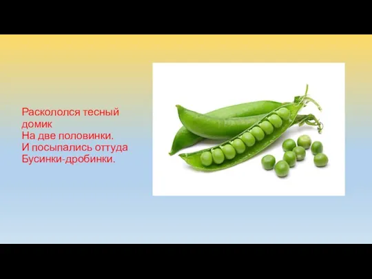 Раскололся тесный домик На две половинки. И посыпались оттуда Бусинки-дробинки.